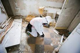 Asbestos Testing: Mitigating Health Risks, Ensuring Peace of Mind post thumbnail image